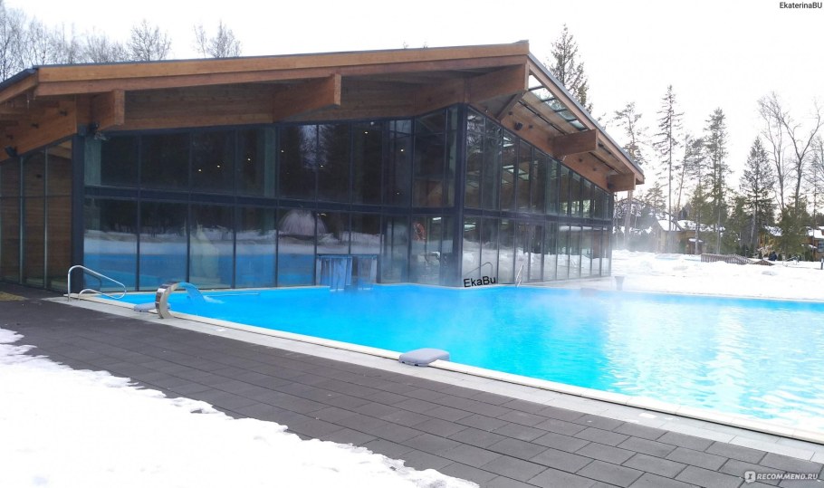 Отель лес арт Резорт в Подмосковье бассейн