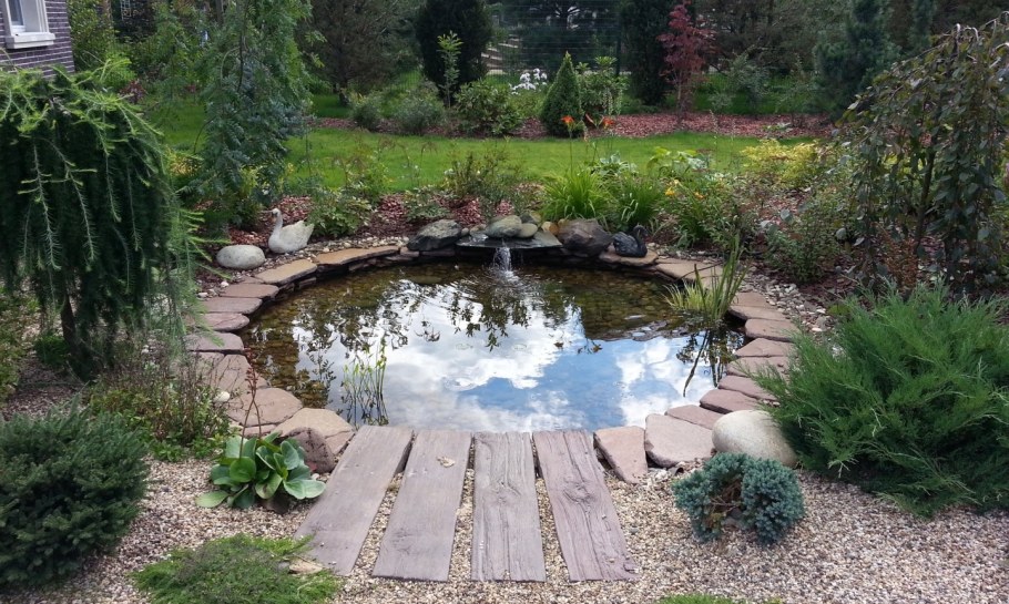 Огородный прудик