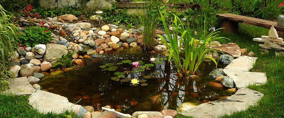 Пруд садовый