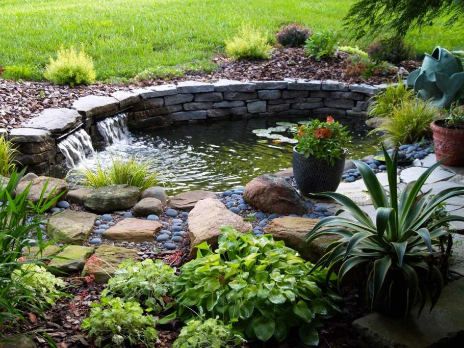 Декоративный пруд с биоплато