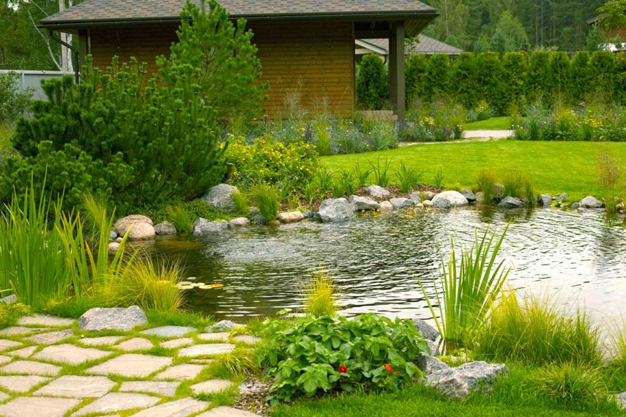 Дачный прудик ландшафт