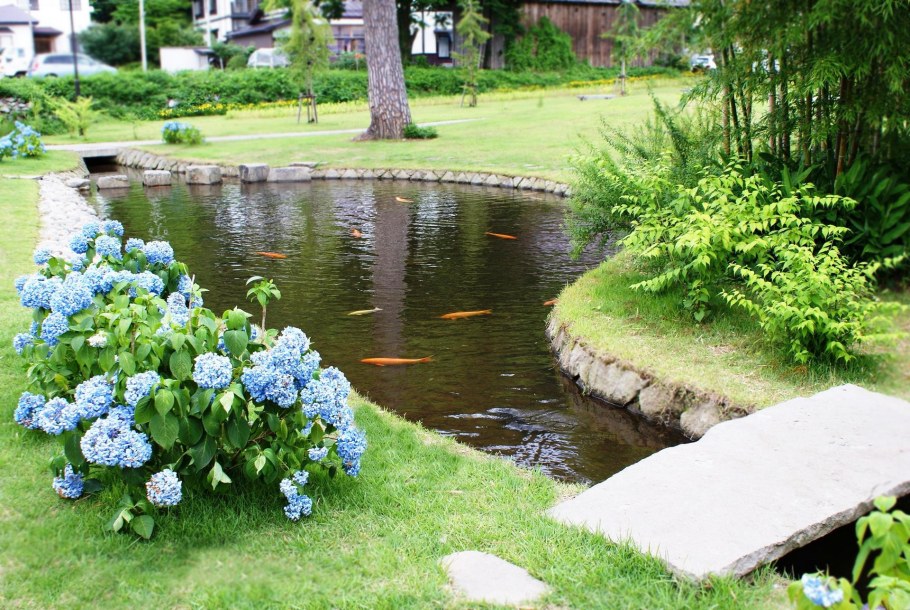 Пруд на участке