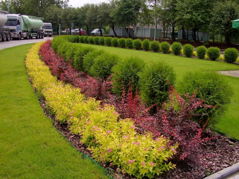 Буддлея Давида нано Блю