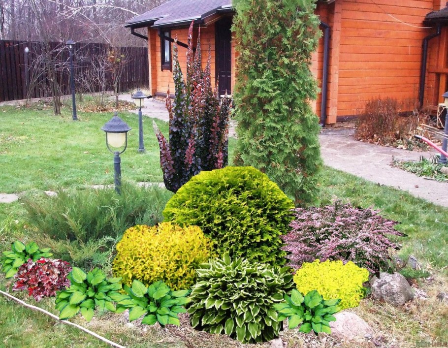 Спирея Альпийская