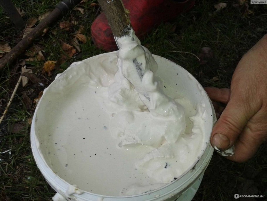 Побелка с колером стен