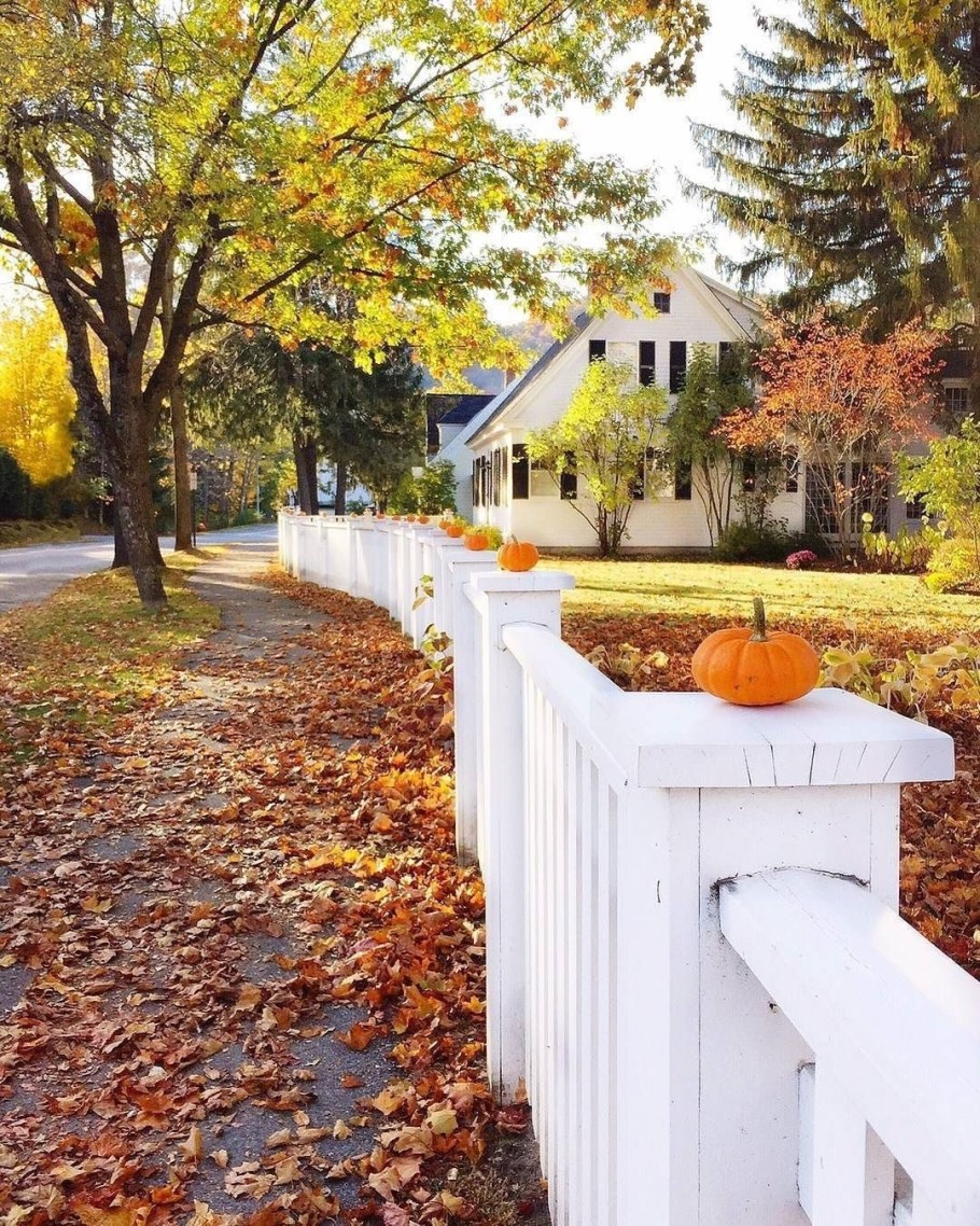 Двор осенью