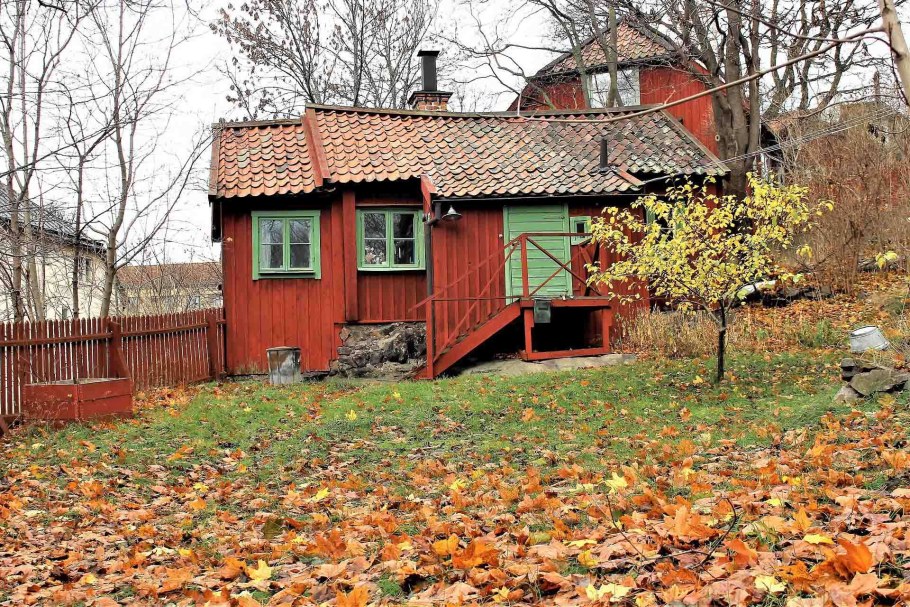 Дача. Осень