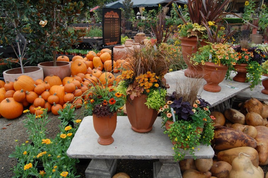 Осенний огород