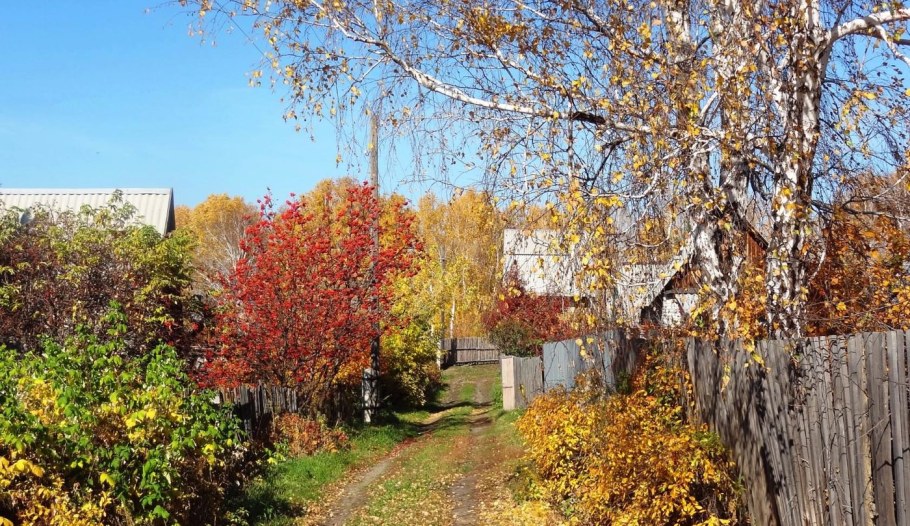 Дачный поселок осень
