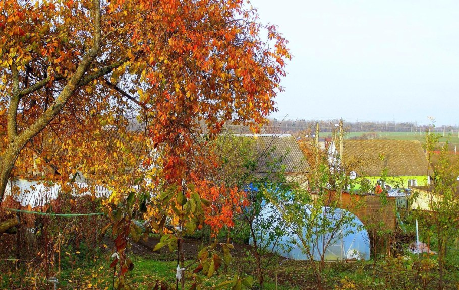 Поздняя осень на даче