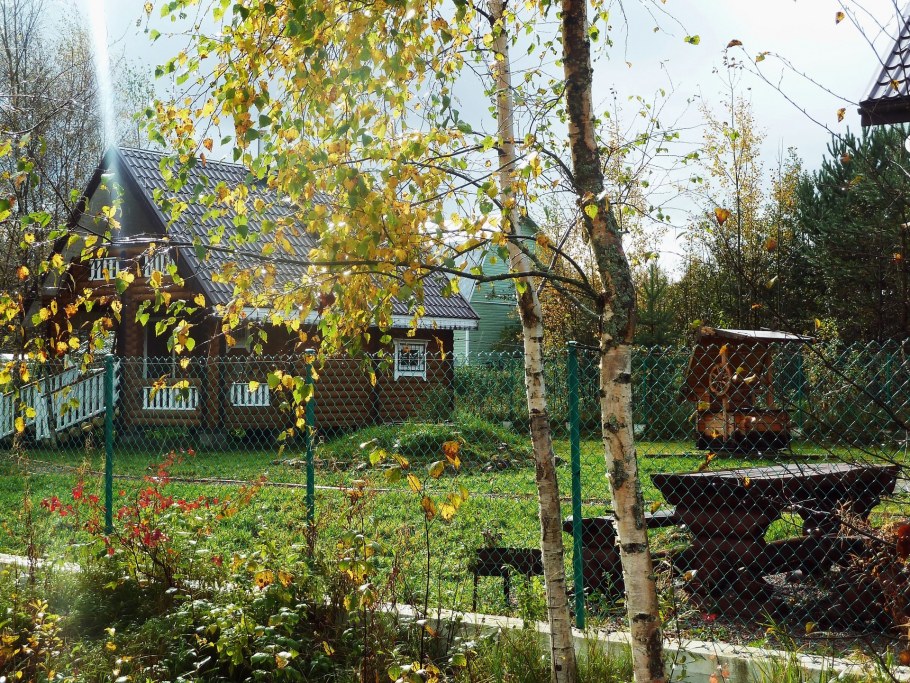 Дача. Осень