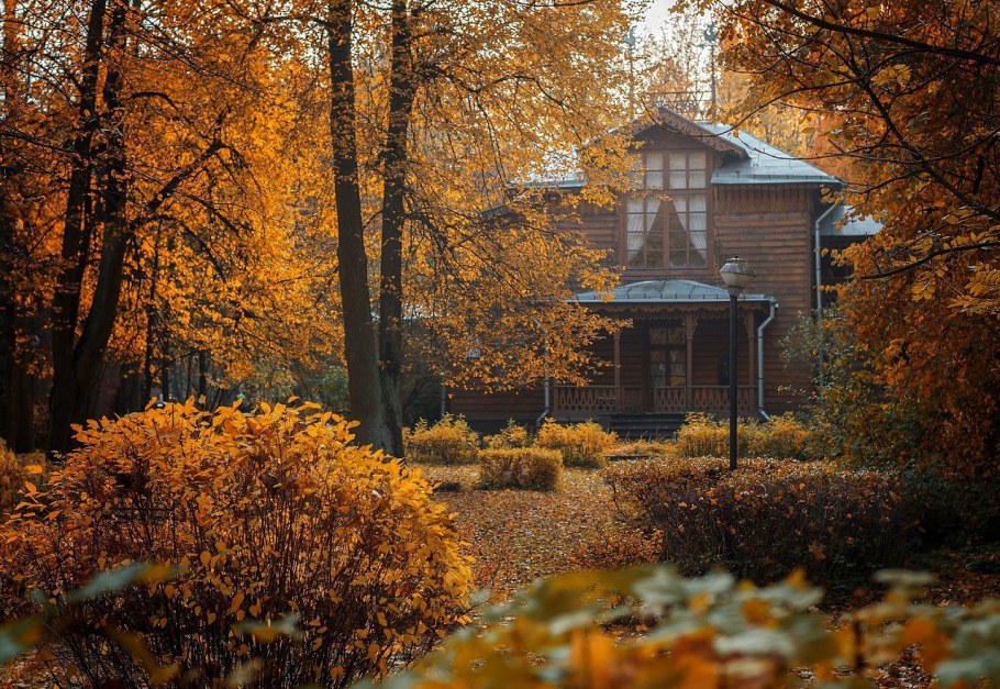 Осень дача усадьба деревня