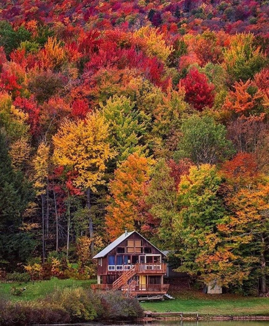 Дом Шварцвальд картина