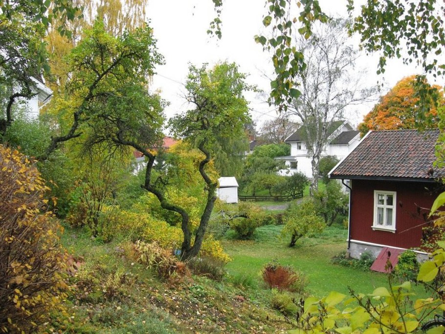 Осенью на даче