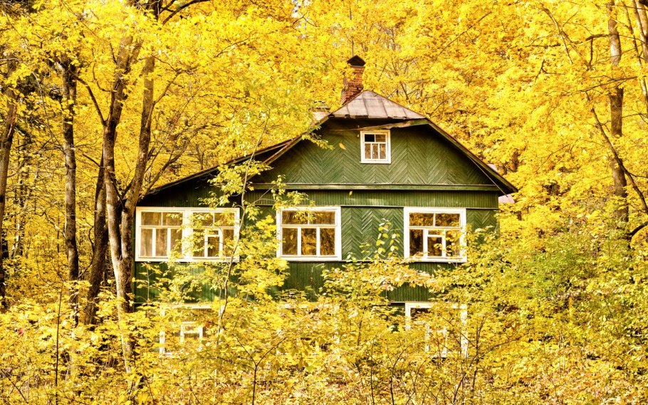 Осень на даче Подмосковье