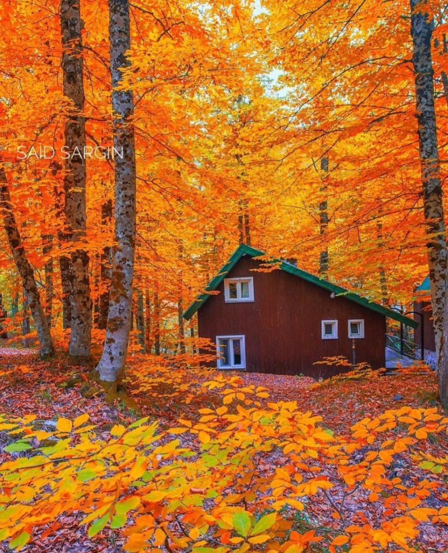 Домик в осеннем лесу