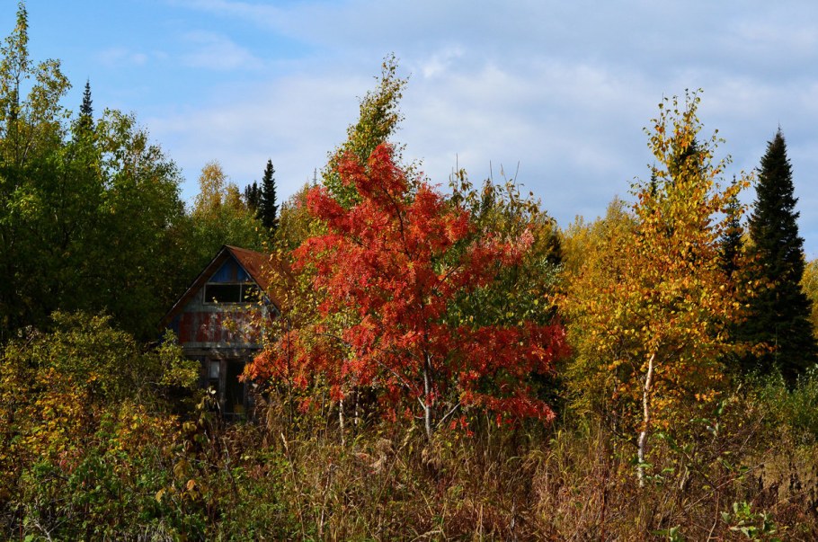 Дача. Осень