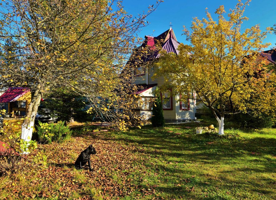 Осенью на даче