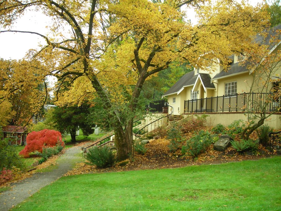 Осенний сад