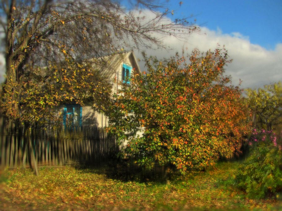 Брюсов дачи осенью