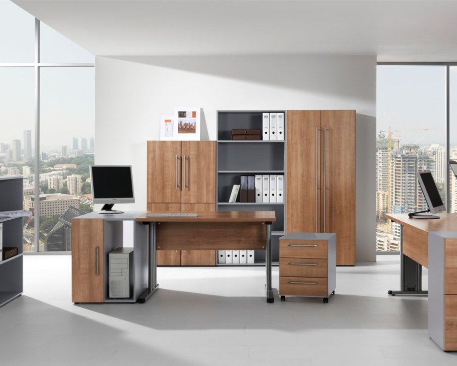 Интерьер офиса корпусной мебели