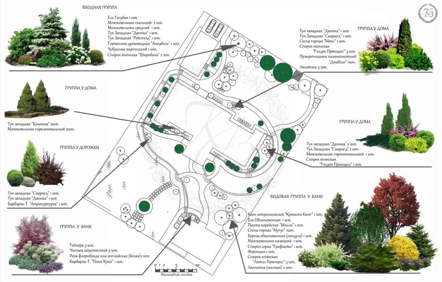 Планировка растений на грядке