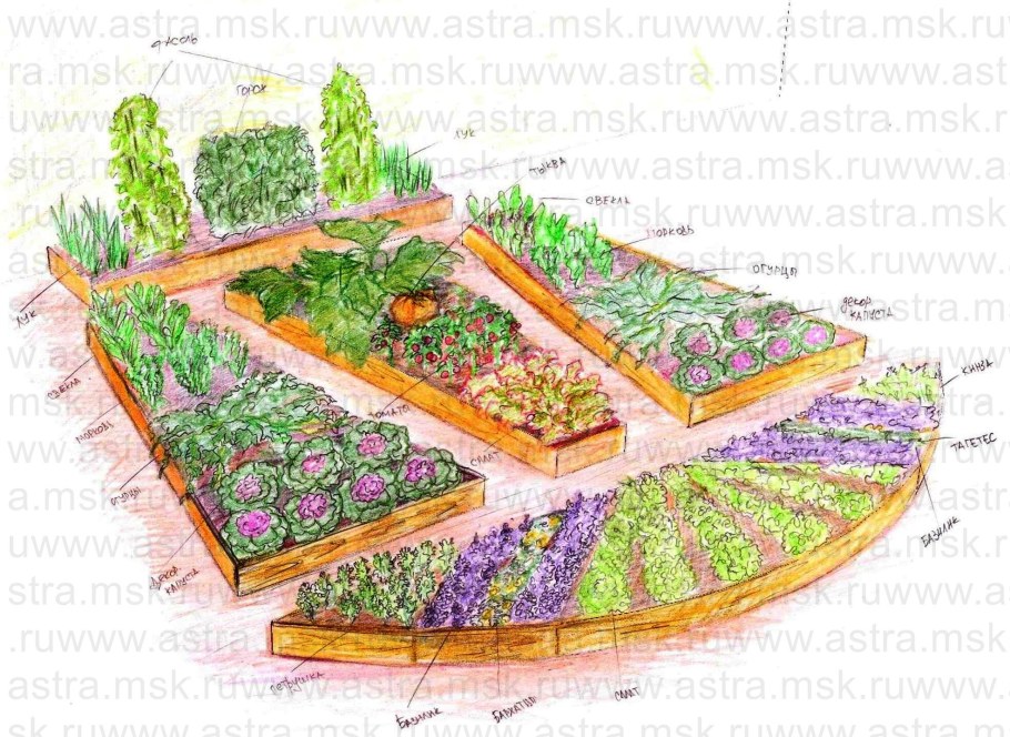 Планировка овощных грядок и клумб