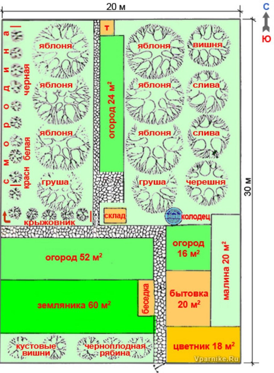 Миксбордер из хвойных и многолетников схемы