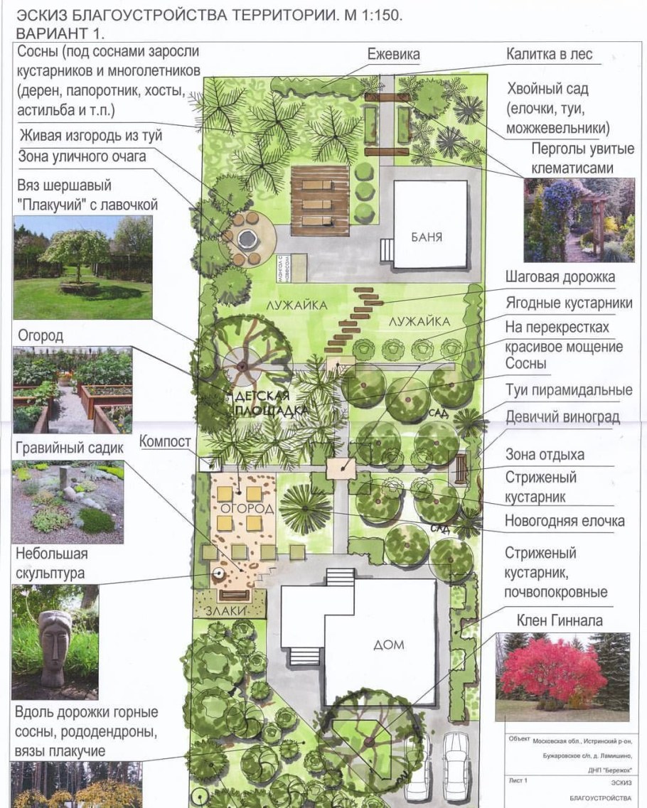 План посадок на участке 4 сотки