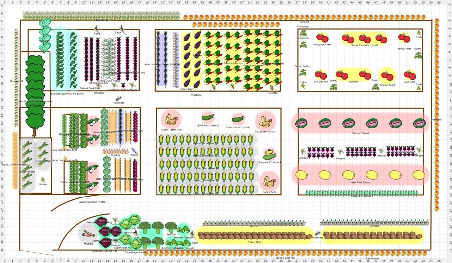 Схема посадки плодовых деревьев на участке