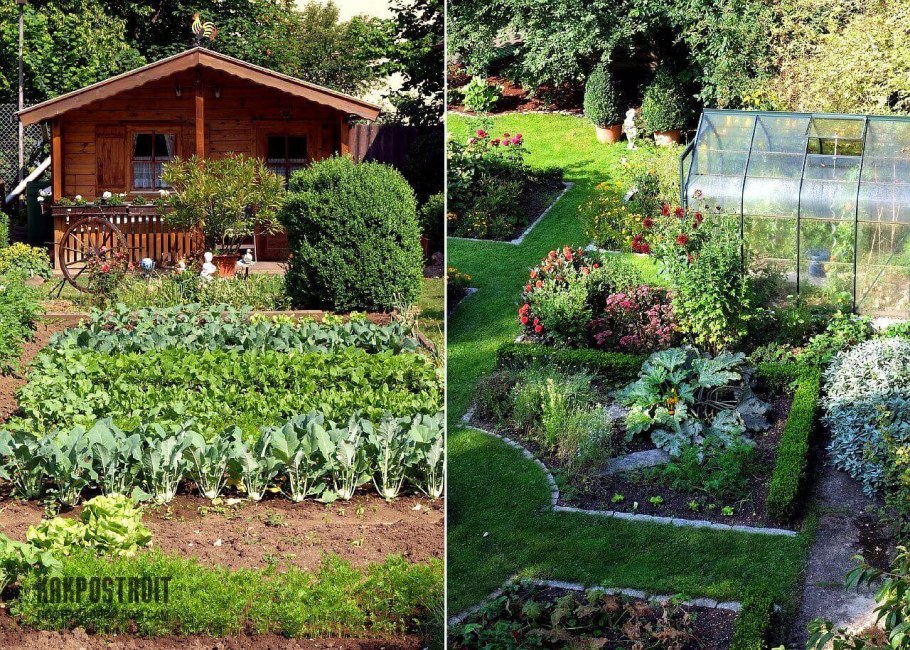 Декоративный огород схемы