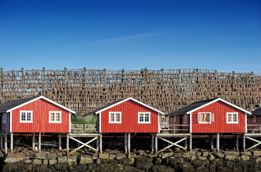 Норвегия пригород