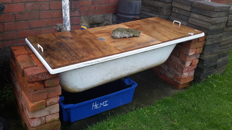 Чугунная ванна на даче