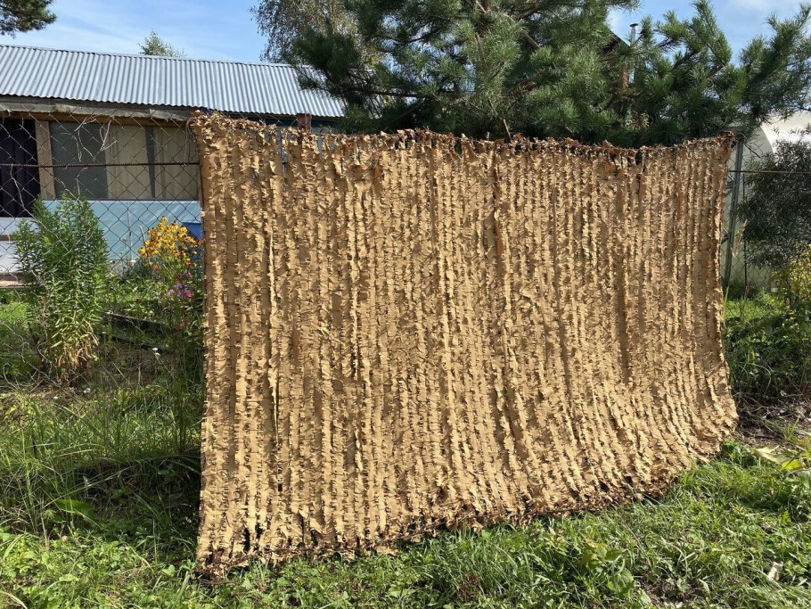 Массеть армейская