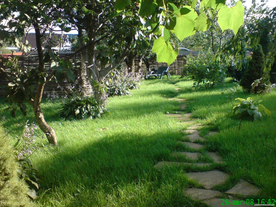 Плодовый сад на даче