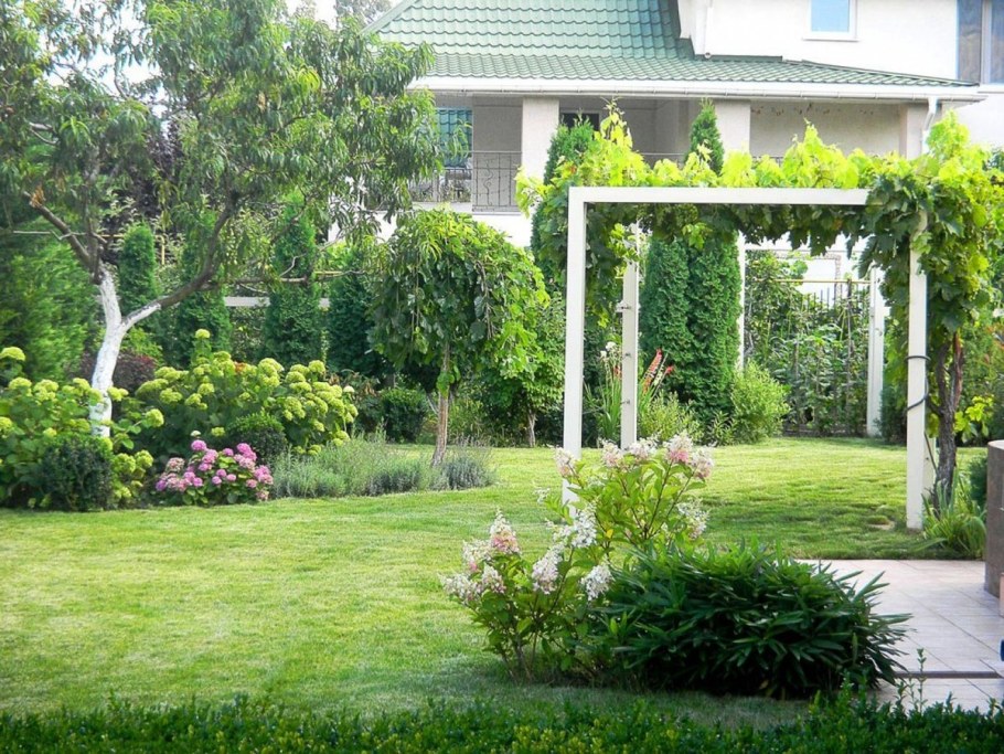 Плодовые деревья вдоль забора