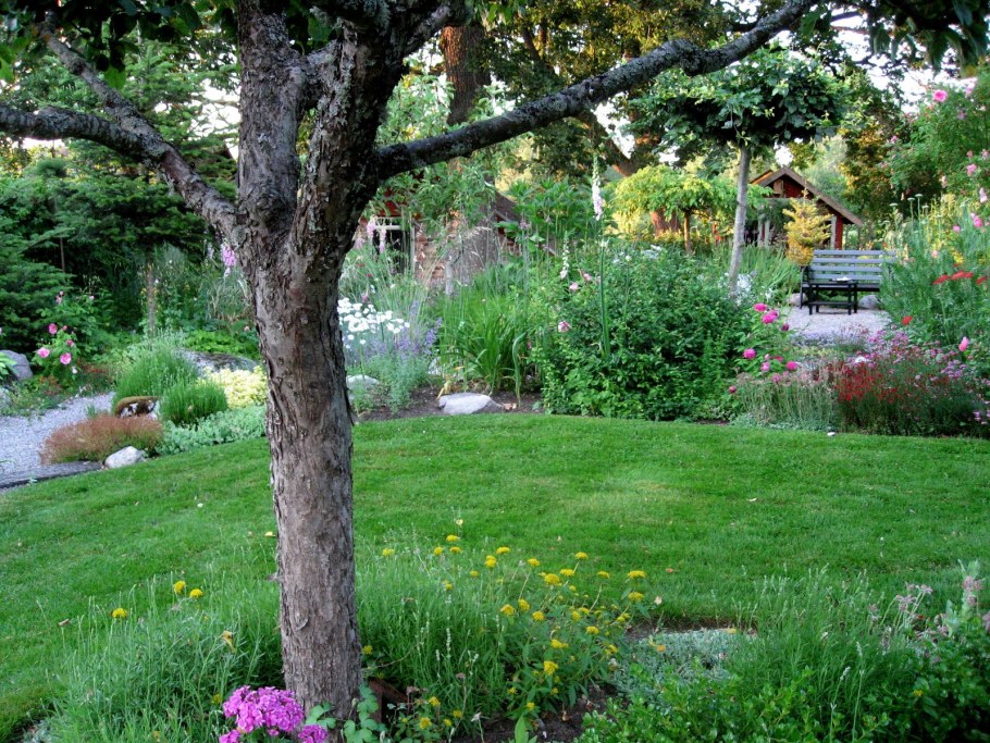 Газон под деревьями в саду