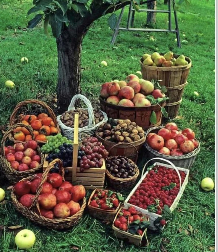 Тенистый квадратный монастырский дворик ландшафт