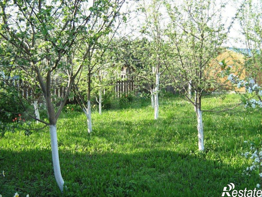 Плодовый сад на даче