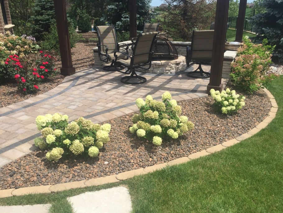 Гортензия Аннабель Живая изгородь