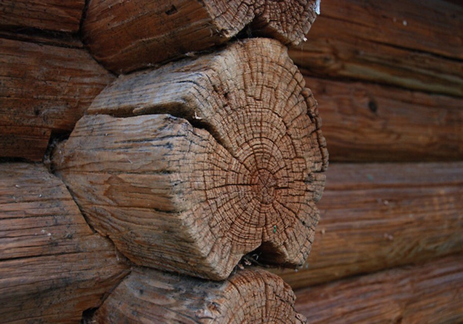 Гнилой сруб