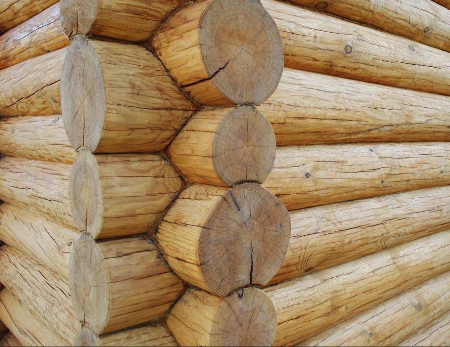 Сруб в чашу