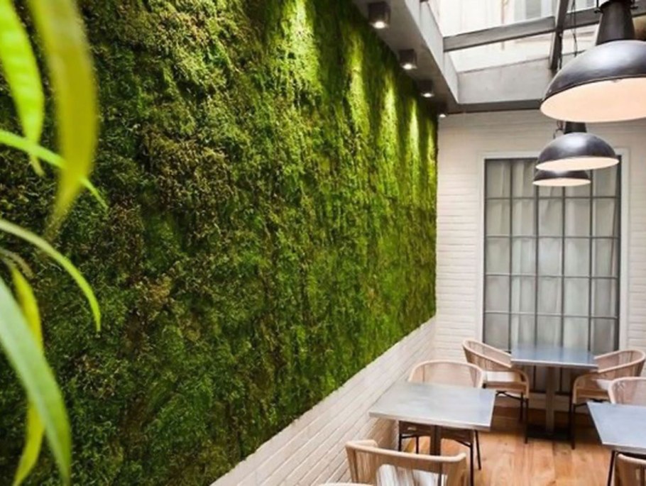 Перегородка с зеленью