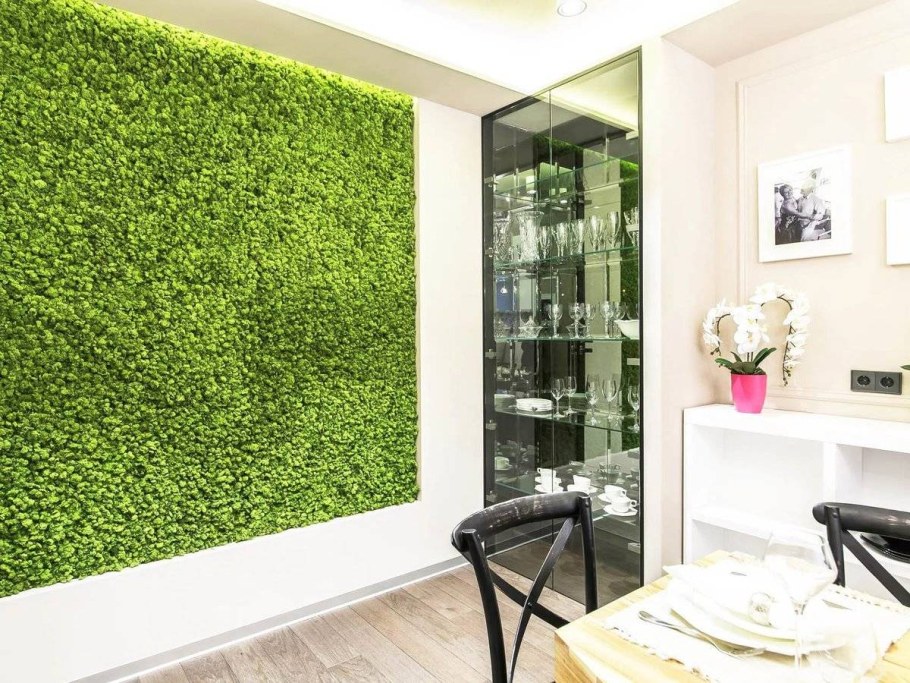 Фитостена с монстерой