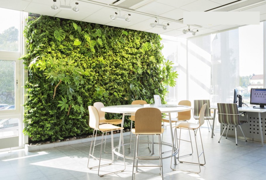 Кафе с зеленью