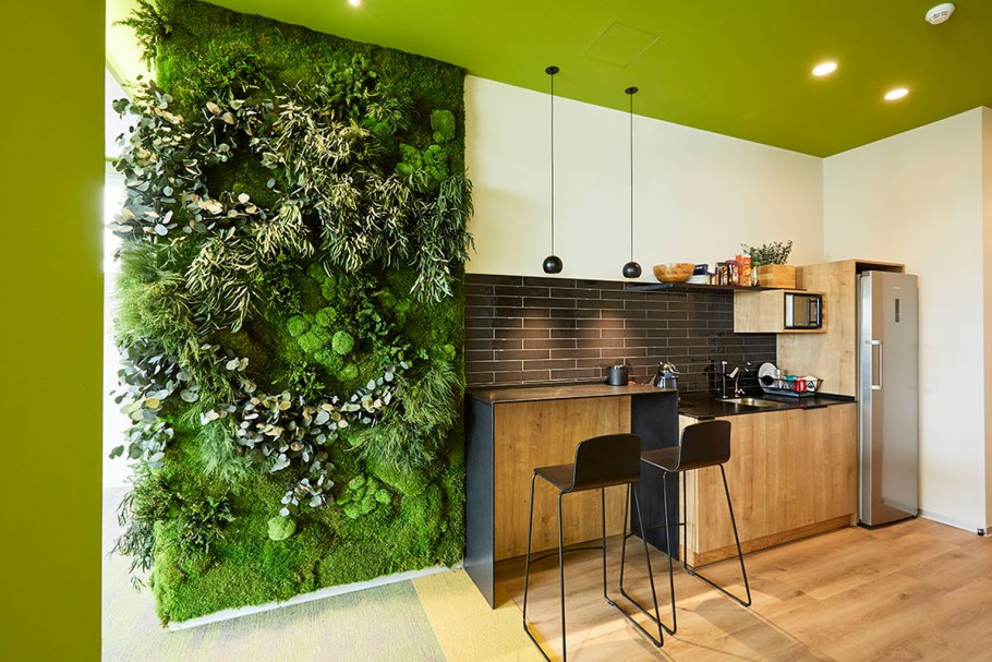 Интерьер зелёный экостиль