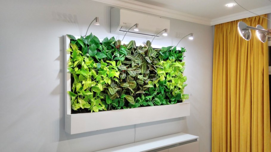 Стабилизированные подвесные растения