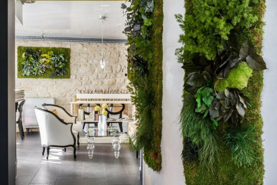 Фитостена ягель