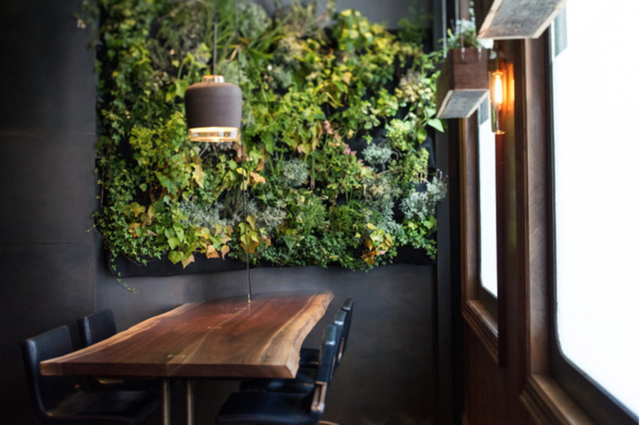 Стабилизированный мох ЭКЛ дизайн