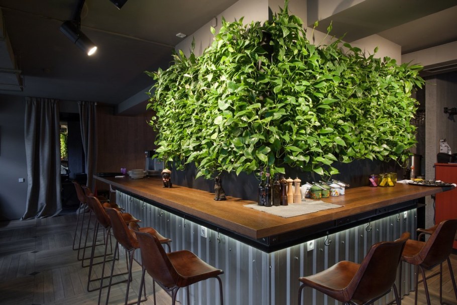 Мох в интерьере кухни